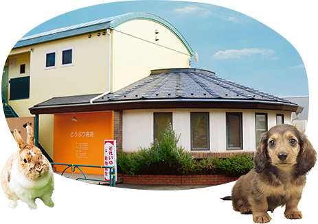 それいゆ動物病院 外観